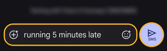 Messages app with the text typed and the SMS send button marked